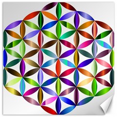 Flower Of Life Sacred Geometry Canvas 16  X 16   by Simbadda