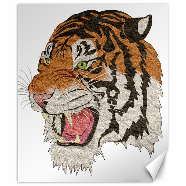 Tiger Tiger Png Lion Animal Canvas 8  x 10 