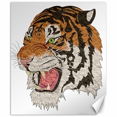 Tiger Tiger Png Lion Animal Canvas 20  X 24   by Simbadda