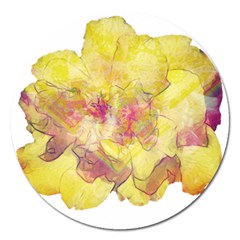 Yellow Rose Magnet 5  (round) by aumaraspiritart