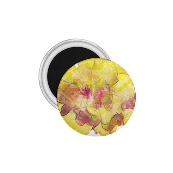 Yellow Rose 1.75  Magnets