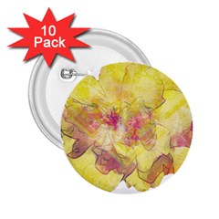 Yellow Rose 2 25  Buttons (10 Pack)  by aumaraspiritart