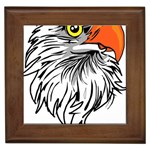 Animal Bird Cartoon Comic Eagle Framed Tiles Front