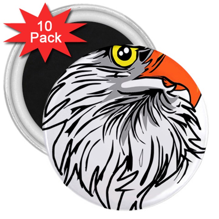 Animal Bird Cartoon Comic Eagle 3  Magnets (10 pack) 