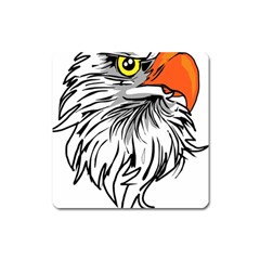 Animal Bird Cartoon Comic Eagle Square Magnet