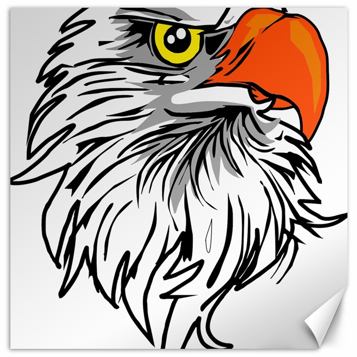 Animal Bird Cartoon Comic Eagle Canvas 12  x 12  