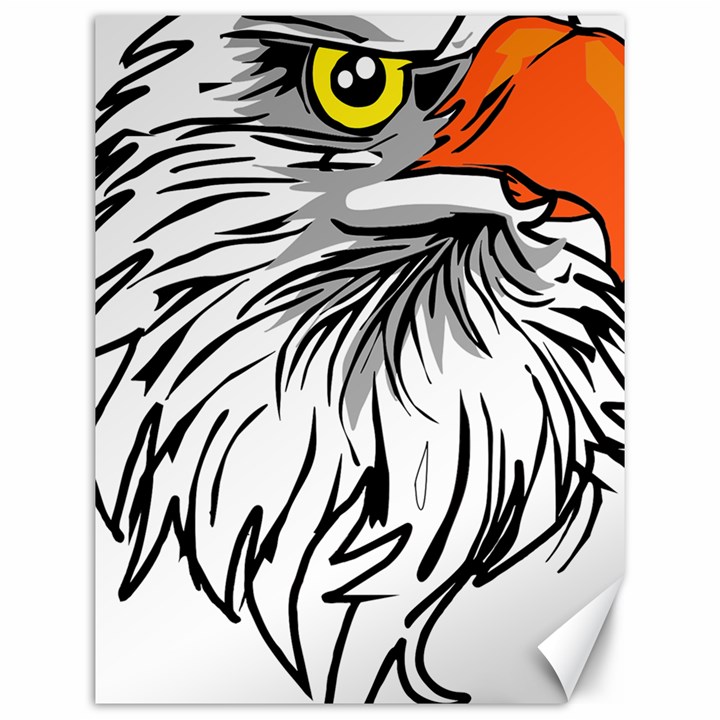 Animal Bird Cartoon Comic Eagle Canvas 12  x 16  