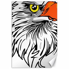 Animal Bird Cartoon Comic Eagle Canvas 12  x 18  