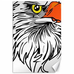 Animal Bird Cartoon Comic Eagle Canvas 20  x 30  