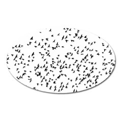 Flock Birds Animals Flying Oval Magnet by Simbadda