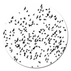 Flock Birds Animals Flying Magnet 5  (Round)