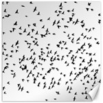 Flock Birds Animals Flying Canvas 12  x 12   11.4 x11.56  Canvas - 1