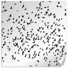 Flock Birds Animals Flying Canvas 16  x 16  