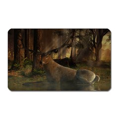 Mammal Nature Wood Tree Waters Magnet (rectangular) by Simbadda