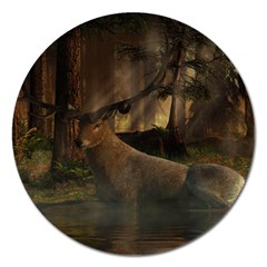 Mammal Nature Wood Tree Waters Magnet 5  (round) by Simbadda