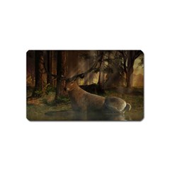 Mammal Nature Wood Tree Waters Magnet (name Card) by Simbadda