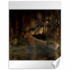 Mammal Nature Wood Tree Waters Canvas 12  X 16   by Simbadda