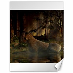 Mammal Nature Wood Tree Waters Canvas 36  X 48   by Simbadda