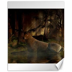 Mammal Nature Wood Tree Waters Canvas 11  X 14   by Simbadda