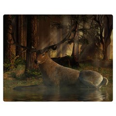 Mammal Nature Wood Tree Waters Double Sided Flano Blanket (medium)  by Simbadda