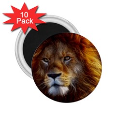 Fractalius Big Cat Animal 2 25  Magnets (10 Pack)  by Simbadda