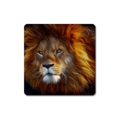 Fractalius Big Cat Animal Square Magnet