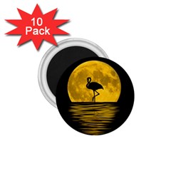 Moon Reflection Flamenco Animal 1 75  Magnets (10 Pack)  by Simbadda