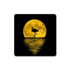 Moon Reflection Flamenco Animal Square Magnet by Simbadda