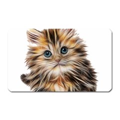 Kitten Mammal Animal Young Cat Magnet (rectangular) by Simbadda