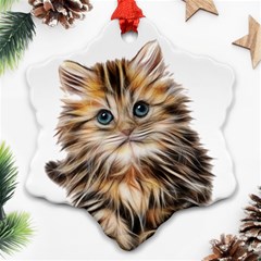 Kitten Mammal Animal Young Cat Snowflake Ornament (two Sides) by Simbadda