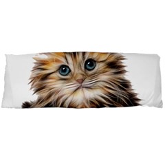 Kitten Mammal Animal Young Cat Body Pillow Case Dakimakura (two Sides) by Simbadda