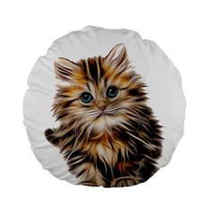 Kitten Mammal Animal Young Cat Standard 15  Premium Flano Round Cushions