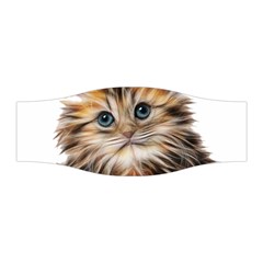 Kitten Mammal Animal Young Cat Stretchable Headband by Simbadda