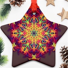 Joyful Living Star Ornament (two Sides) by aumaraspiritart