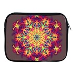 Joyful Living Apple iPad 2/3/4 Zipper Cases Front