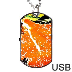 Smashed Butterfly 6 Dog Tag Usb Flash (two Sides) by bestdesignintheworld