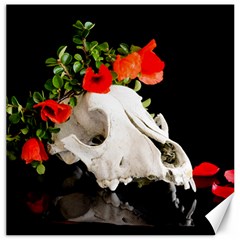 Animal Skull With A Wreath Of Wild Flower Canvas 12  X 12  