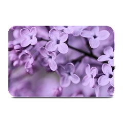 Lilac Plate Mats by LoolyElzayat