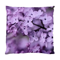 Lilac Standard Cushion Case (two Sides) by LoolyElzayat