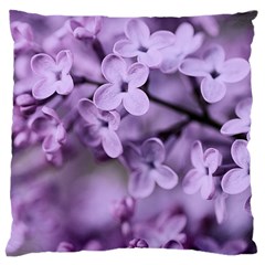 Lilac Large Cushion Case (two Sides) by LoolyElzayat