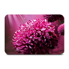 Majestic Flowers Plate Mats by LoolyElzayat