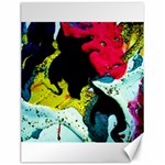 Buffalo Vision Canvas 12  x 16   11.86 x15.41  Canvas - 1