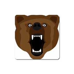 Bear Brown Set Paw Isolated Icon Square Magnet by Nexatart