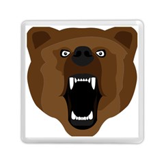 Bear Brown Set Paw Isolated Icon Memory Card Reader (square)  by Nexatart