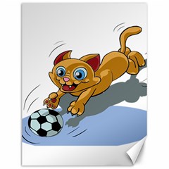 Cat Ball Play Funny Game Playing Canvas 12  X 16   by Nexatart