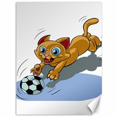 Cat Ball Play Funny Game Playing Canvas 36  X 48   by Nexatart