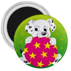 Dalmatians Dog Puppy Animal Pet 3  Magnets by Nexatart