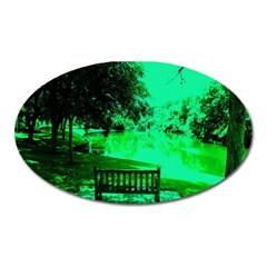 Hot Day In Dallas 24 Oval Magnet by bestdesignintheworld