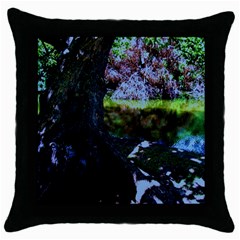 Hot Day In Dallas 32 Throw Pillow Case (black) by bestdesignintheworld