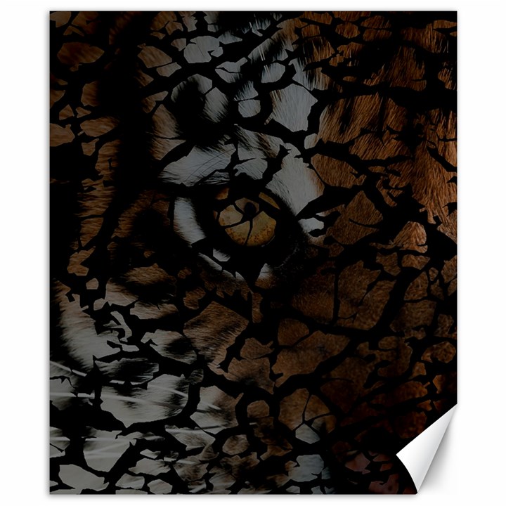 Earth Texture Tiger Shades Canvas 8  x 10 